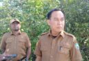 Diduga Tercemar, Pemda Haltim Panggil Sejumlah Perusahaan Tambang di Teluk Buli