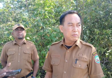 Diduga Tercemar, Pemda Haltim Panggil Sejumlah Perusahaan Tambang di Teluk Buli