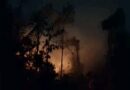 Kebakaran Meluas di Galela, Kebun Warga Hangus hingga Dekati Permukiman