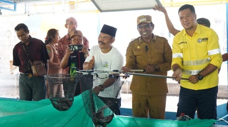 Panen Ikan Nila di Soahukum, Wabup Kasman: Jangan Berhenti Jadi Seremonial!